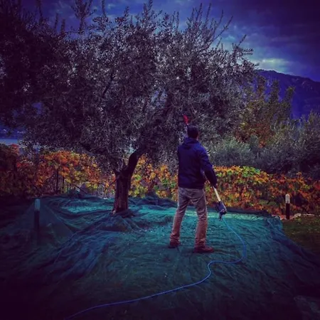 Frühstückspension Charming Boutique 4*