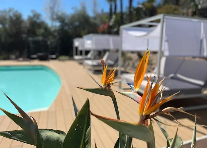 Charming Boutique Отель типа 