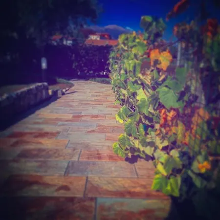 Oda ve Kahvaltı Charming Boutique