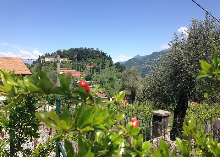 Panzió Charming Boutique 4*