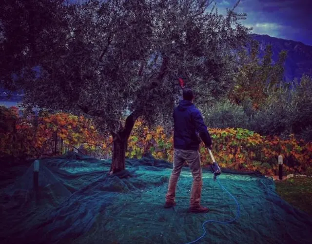 לינה וארוחת בוקר Charming Boutique 4*